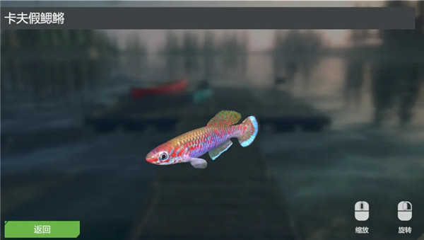 终极钓鱼模拟器卡里巴大坝DLC实用攻略7