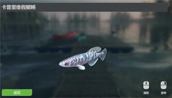终极钓鱼模拟器卡里巴大坝DLC实用攻略4