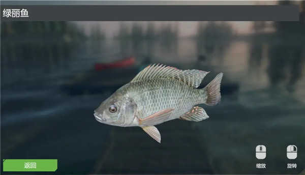 终极钓鱼模拟器卡里巴大坝DLC实用攻略6