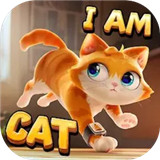 我是猫游戏