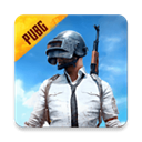 PUBGMOBILE测试服